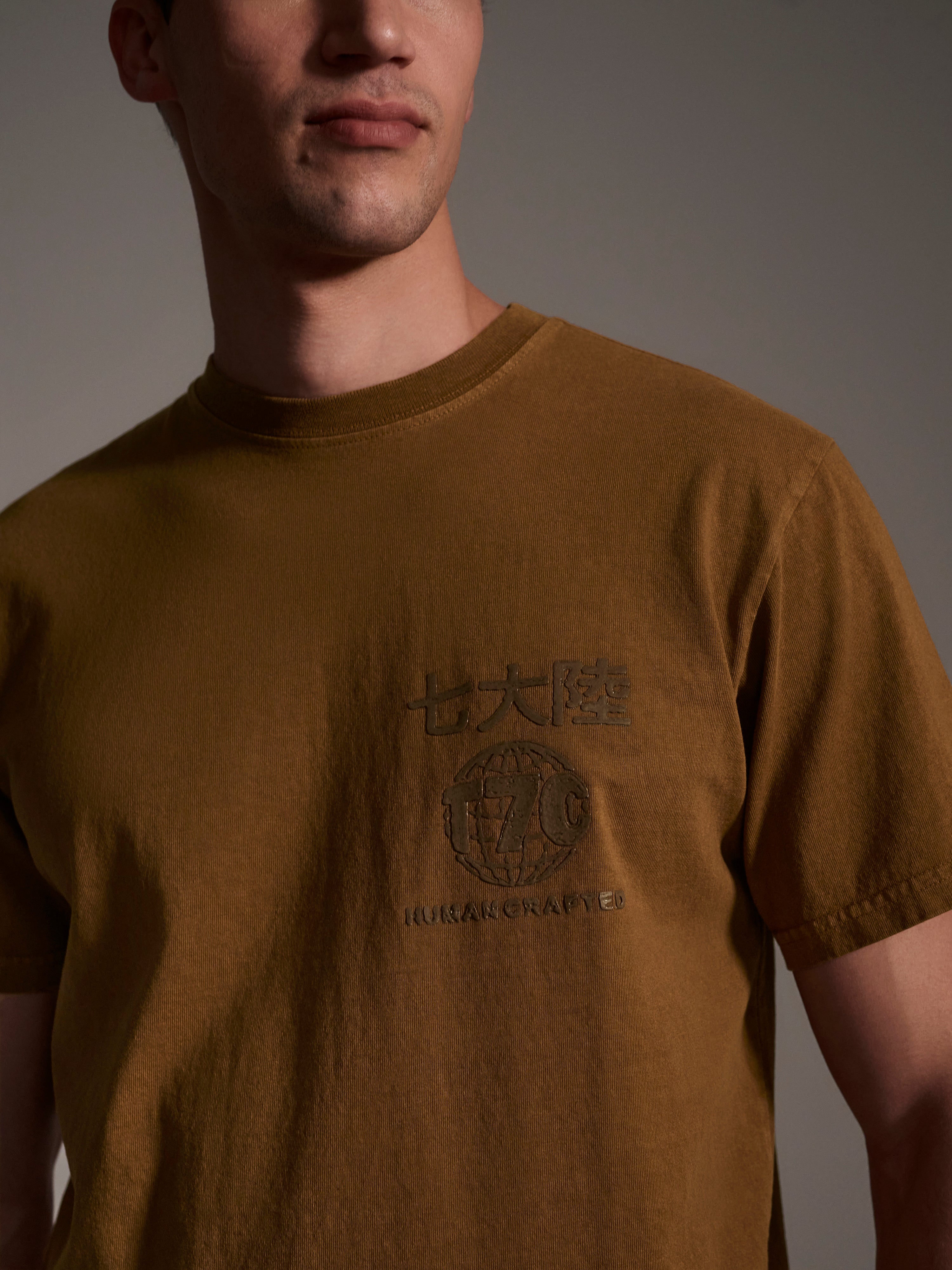 A detail image of male model wearing a brown t-shirt with a logo detail